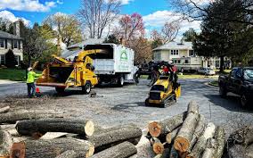 Best Tree Health Inspection  in Waxhaw, NC