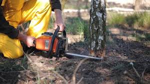 Best Soil Testing and Treatment  in Waxhaw, NC