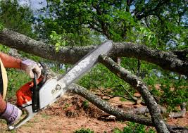 Best Arborist Consultation Services  in Waxhaw, NC