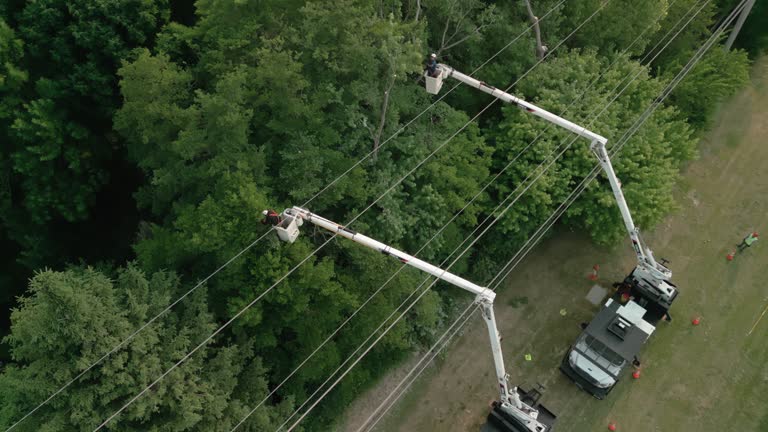 Best Tree Trimming and Pruning  in Waxhaw, NC